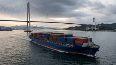 Что такое TEU (ДФЭ) в контейнерных перевозках